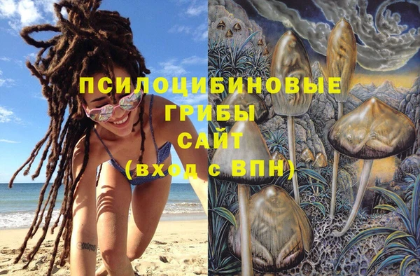 гашик Инсар
