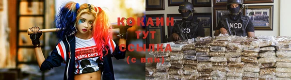 сатива Инта