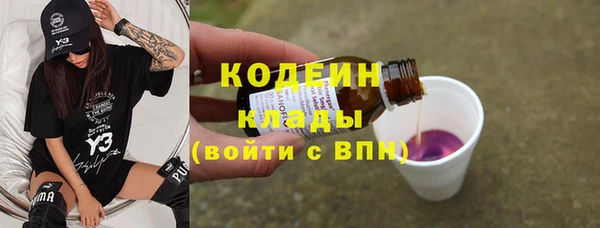 сатива Инта