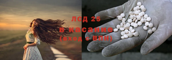 сатива Инта