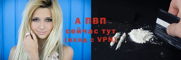 гашик Инсар