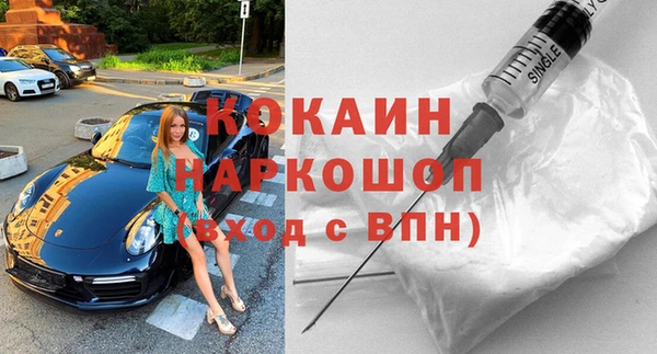 гашик Инсар