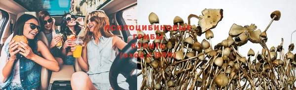 сатива Инта