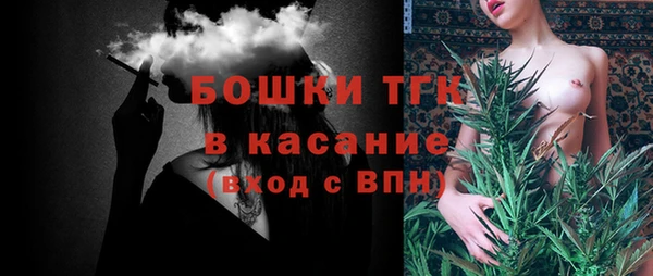 сатива Инта