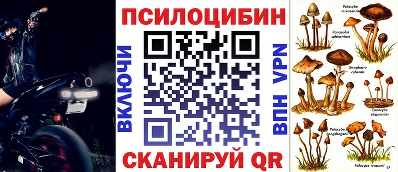Галлюциногенные грибы GOLDEN TEACHER  Купить закладки  Десногорск 